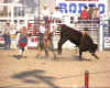 Rodeo_99002.jpg (123384 bytes)