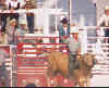 Rodeo_99004.jpg (52185 bytes)