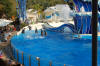 Sea World