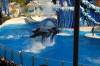 Sea World