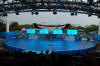 Sea World