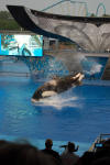 Sea World