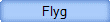 Flyg